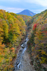 中津川渓谷の紅葉　福島県