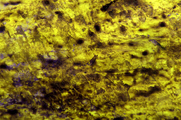 dirty art background of purple stains on yellow
