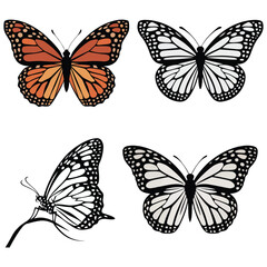 A clean, detailed illustration of a butterfly silhouette with elegant