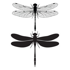 An illustration of a bold dragonfly silhouette hovering gracefully