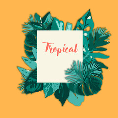 Tropical_background_template