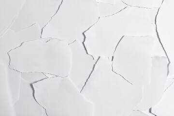 Pile of torn white paper scraps.