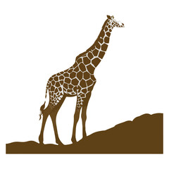 A silhouette of a giraffe standing tall with its long neck stretched out. The giraffe is standing on a patch of grass. The background is a clear blue sky. The image has a white background