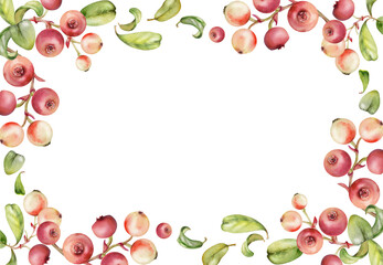 Lingonberry cranberry on branch, green leaves, ripe berry wintergreen bearberry teaberry cluster group, hand drawn in watercolor. Isolated border corner frame. Farmers market, recipe book, cafe menu