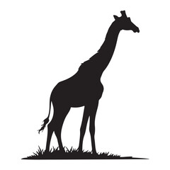 A silhouette of a giraffe standing tall with its long neck stretched out. The giraffe is standing on a patch of grass. The background is a clear blue sky. The image has a white background