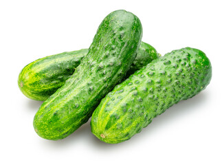 Fresh sweet small cucumbers isolated on white background. Cucumbers that are used to pickling or slicing.