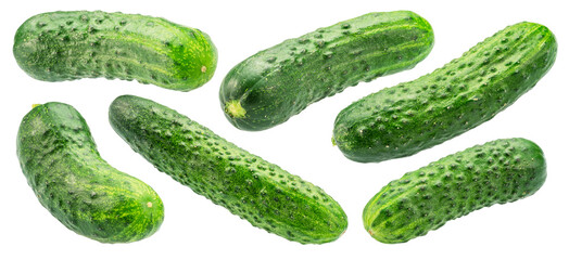 Set of small cucumbers of different shapes isolated on white background. Cucumbers that are used for pickling or slicing.