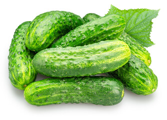 Fresh sweet small cucumbers isolated on white background. Cucumbers that are used to pickling or slicing.