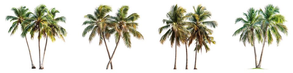 Coconut trees isolated on transparent background, PNG, Set of