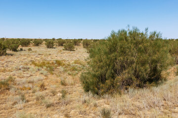 Expansive steppe landscape in Atyrau Region Kazakhstan under clear sky