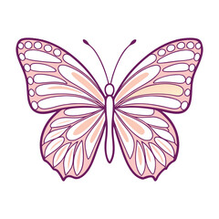  a butterfly with wing details fading into soft shades.