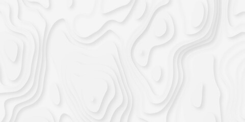 Abstract white paper cut background with lines. Background of the topographic map. White wave paper curved reliefs abstract background. Realistic papercut decoration textured with wavy layers.