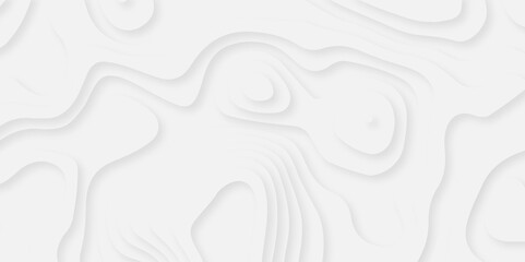 Abstract white paper cut background with lines. Background of the topographic map. White wave paper curved reliefs abstract background. Realistic papercut decoration textured with wavy layers.
