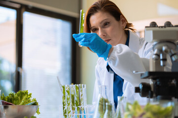 Nutrition specialists, exploring innovations in nutrition, psychiatry, and health science research.