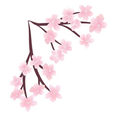 pink blossom flower element for decoration on background