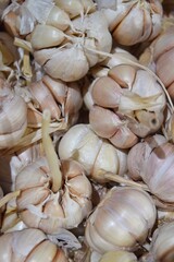 photo of a pile of garlic for cooking ingredients