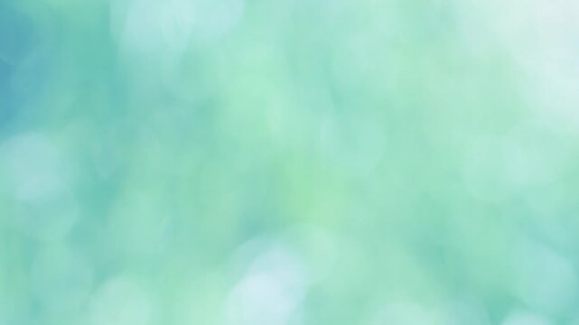 ゆっくりと風に揺れる自然の草原のボケたイメージ。柔らかな日差し。環境コンセプト。清涼感ある薄い青緑色。パンニングショット。
Natural meadow grass slowly swayed by wind blow. Soft sunlight. Environment concept. Bokeh. Light verdigris. Panning shot.