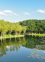 Fototapeta premium Early winter scenery at Yuanshi Park in Yinzhou District, Ningbo, Zhejiang Province, China