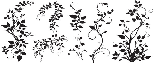 large selection of climbing hawthorn plants for ornament vector © shahzad