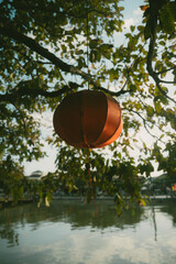 Lanterne dans un arbre en Asie 