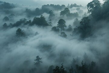 Dense Foggy Background with Rich Atmospheric Texture