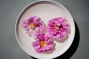 Three pink large rose hip flower in soft focus slowly swing on aplate on the surface of the water