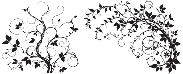 graceful pattern element of intertwined hawthorn and hop plants vector