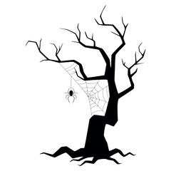 Spooky silhouette of a bare tree with spider web and spider on a white background