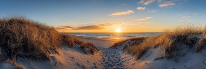 Sunset beach path dunes seascape panorama