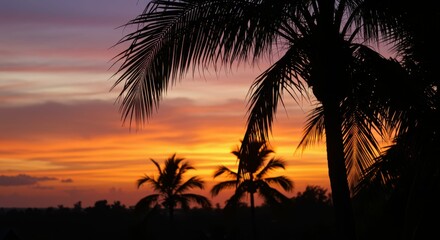Obraz premium Silhouette of palm trees at sunset with vibrant orange and purple sky
