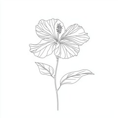 Hibiscus flower depicted in a continuous line drawing style, rendered as a black line sketch.