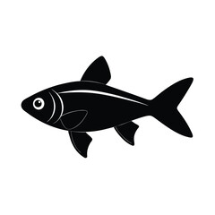 Rummy Nose Tetra Silhouette Vector Art and Rummy Nose Tetra Black Design Illustration