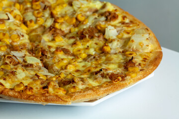 Closeup shot of a tasty Italian pizza with meat and vegetables on a white plate