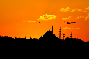 Silhouette of Suleymaniye Mosque with a seagull at sunset.