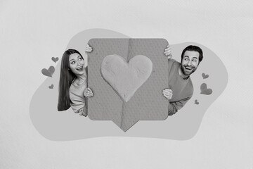 Collage artwork graphics picture of funky excited husband wife holding 14 february feedback heart...