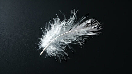 White fluffy bird feather on a black background close-up