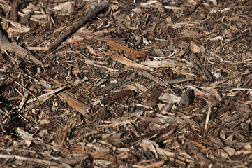 Close-Up of Natural Wood Chips and Mulch Texture