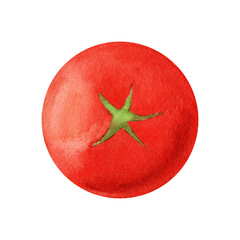 A single cherry tomato with delicate shading, illustrated in watercolor. Great for organic market branding, fresh vegetable packaging, natural food promotions, and farm-to-table concepts