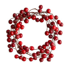 Obraz premium cranberry string isolated on transparent white background