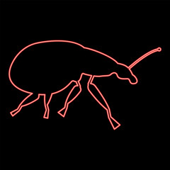Neon weevil insect pest red color vector illustration image flat style