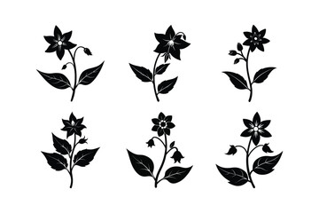 Borage (Borago officinalis) silhouette vector illustration