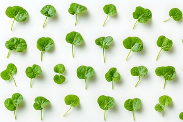 Green Leaves Pattern: Nature's Beauty