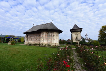 Fototapeta premium old castle on the hill