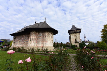 Fototapeta premium castle in the mountains