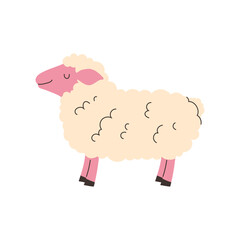 Playful sheep in flat style on white background
