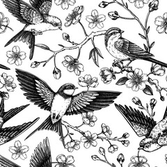 Spring seamless pattern. Sakura flower background. Cherry blossom, flying birds sketch illustration. NOT AI generated