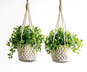 hanging planters with vibrant green plants
