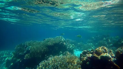 Fototapeta premium Underwater coral reef scene, tropical ocean, sunlight, fish, marine life, nature background, ideal for travel brochures