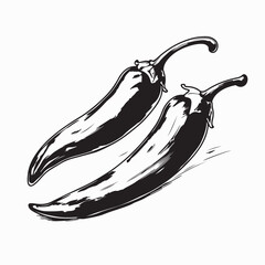 Chili pepper hand drawn engraved style vector illustration on white background.