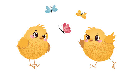 Two Chicks with Butterflies on White Background. Two cute yellow chicks looking at a butterfly on a white background. Easter and spring childrens design for greeting card, invitation.